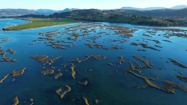 Aerial view of the marsh landscape at low tide in the Natural Park of the Marismas de Santo&ntilde;a, Victoria and Joyel in Escalante. Cantabria, Spain, Europe