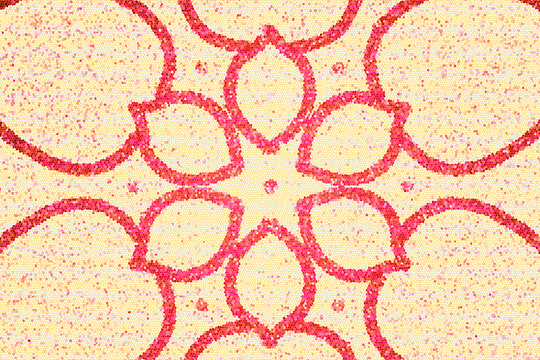 Pink flower outline Mandala background.