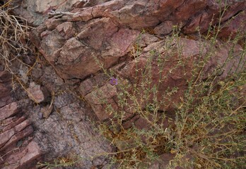 Hiking in Shehoret canyon, South Israel