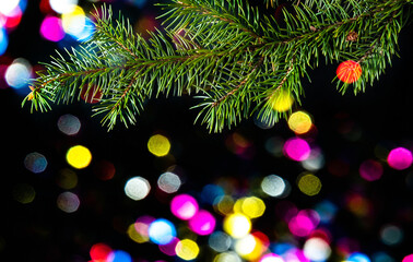 Obraz na płótnie Canvas Spruce branch on colored lights on blurred bacground. Christmas or New Year background image