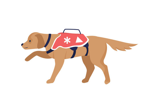 Avalanche Rescue Dog Semi Flat Color Vector Character. Full Body Animal On White. Rescue Mission. Trained Search Animal Isolated Modern Cartoon Style Illustration For Graphic Design And Animation