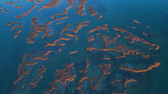 Aerial view of the marsh landscape at low tide in the Natural Park of the Marismas de Santo&ntilde;a, Victoria and Joyel in Escalante. Cantabria, Spain, Europe