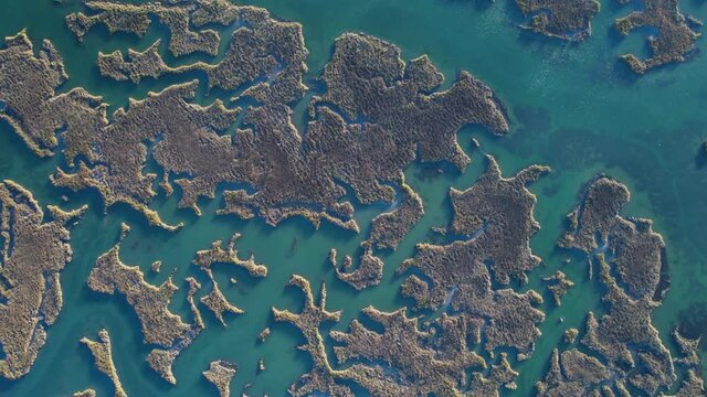 Aerial view of the marsh landscape at low tide in the Natural Park of the Marismas de Santo&ntilde;a, Victoria and Joyel in Escalante. Cantabria, Spain, Europe