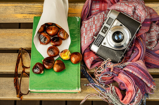 Top view image of a vintage camera, roasted chestnuts, a book, a scarf and some reading glasses