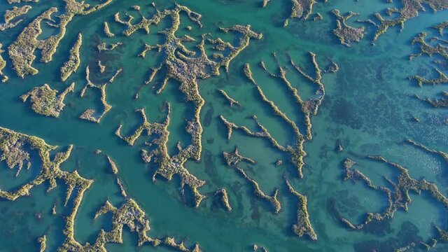 Aerial view of the marsh landscape at low tide in the Natural Park of the Marismas de Santo&ntilde;a, Victoria and Joyel in Escalante. Cantabria, Spain, Europe