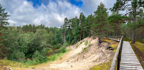 Beautiful landscape of green forest near big white dune with wooden walkways among the pine woods in Latvia.