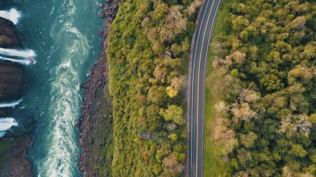 Aerial top view of a highway beside a river in Iguaçu National Park, Parana, Brazil. 4K.