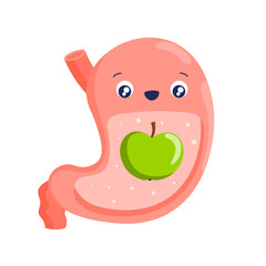 Stomach. Healthy stomach and proper nutrition. Cartoon internal organs. Diet, fruits, vegetables. Stock vector illustration isolated on white background.