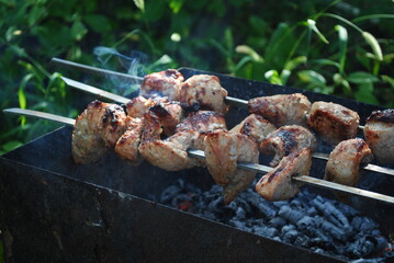 meat on the grill