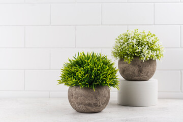 Decorative plants on kitchen table