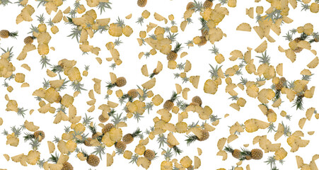 Geometric Pineapple Background - Seamless Pattern