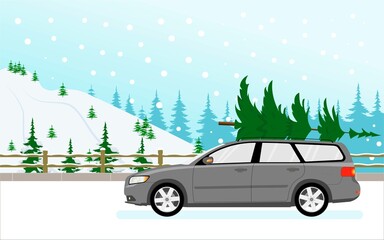 The movement of the car on the road outside the city in the woods. Transportation of goods of the Christmas tree.