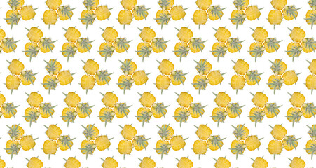 Geometric Pineapple Background - Seamless Pattern