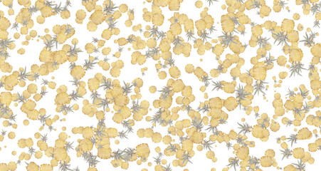 Geometric Pineapple Background - Seamless Pattern