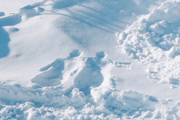 Imprint of person body on snow. Figure in snow from two bodies of man and woman.