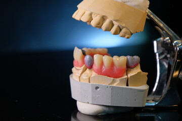 Dental technician works by brush with jaw model