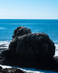 Punta de Lobos emblematic rocks full of native fauna