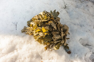 A broom for a bath made of oak branches in close-up against the background of melted snow in spring