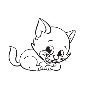 cute cartoon kitten cat coloring book image