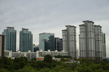 Obraz premium 공원 숲과 도시의 고층 아파트빌딩이 있는 풍경입니다.