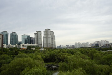 Obraz na płótnie Canvas 공원 숲과 도시의 고층 아파트빌딩이 있는 풍경입니다.