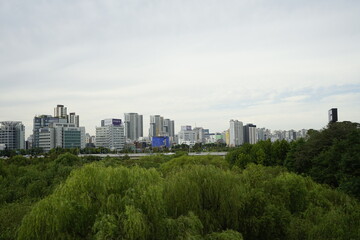 Obraz premium 공원 숲과 도시의 고층 아파트빌딩이 있는 풍경입니다.