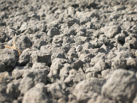 Grobschmutz Bilder Durchsuchen 2,424 Archivfotos, und