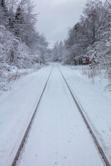 Obraz premium snow covered forrest rail road