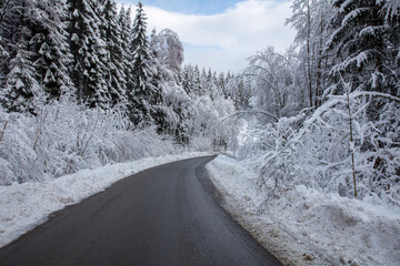 Obraz premium road through the snow-covered Bavarian forest