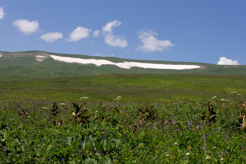 A park area along the bed of a mountain river, walks on a sunny summer day, places to communicate with nature.