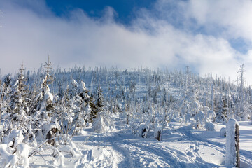Winter hiking trail covered by snow to Mount Lusen summit in the Bavarian Forrest National Park