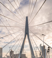 Detail of the Erasmus bridge in the city of Rotterdam, Netherlands