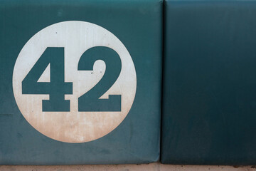 #42 on fence line