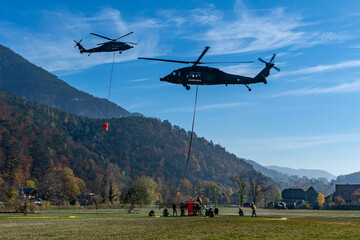 Two Austrian Armed Forces S-70 