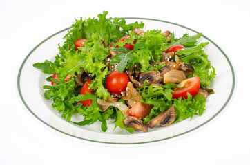 Plate with vegetarian dish of arugula, tomatoes and mushrooms on white background. Studio Photo