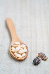 shelled and whole pine nuts in spoon on the wooden background with copy space