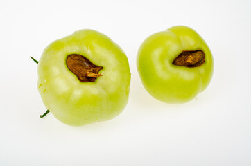 Diseases of tomatoes, top rot on fruits. Studio Photo