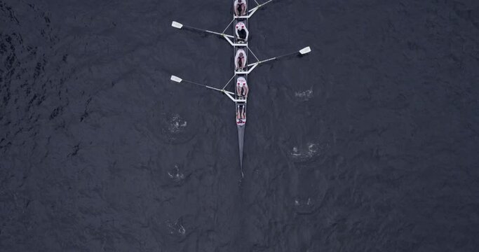 Rowers on the Elbe Topdown