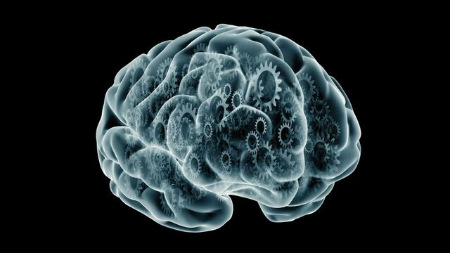 Clockwork Brain with camera move.
X ray style brain filled with turning gears. Camera moves around it then stops.