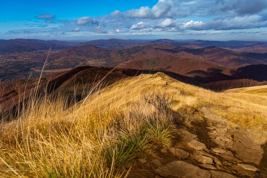 Amazing colours of autumn in Bieszczady mountains (Podkarpackie, Poland). Hiking trail from Połonina Wetlińska to Smerek.   