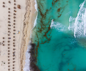 Aerial view. White sandy beach, turquoise sea water and a lot of seaweed. Environmental pollution, toxins, climate change, global warming. Abstraction. Shooting from a drone.