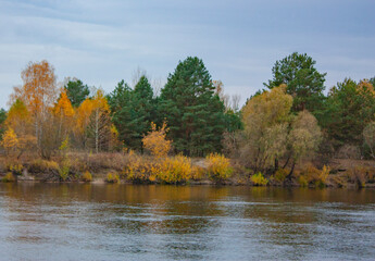 A beautiful, green forest on the opposite bank of the blue river. Autumn landscape.