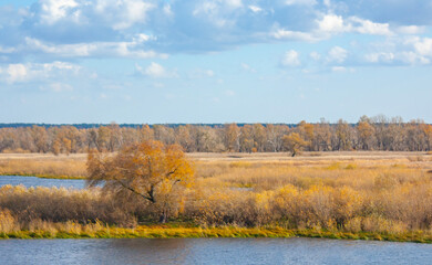 Autumn landscape on a bright sunny day. Yellow forest and bushes on the bank of the blue river.
