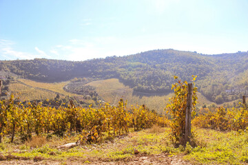 autumn in the mountains