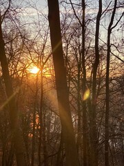 sunrise over the river