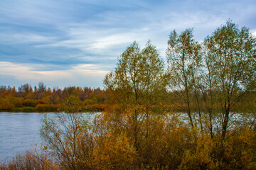 Yellow vegetation on the river bank on a cloudy day. Autumn trees and bushes. Autumn landscape of the two banks of the river.