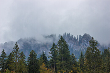 fog over the mountains