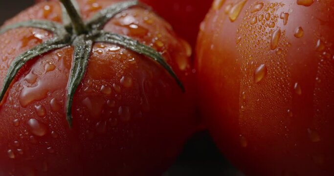 Close up shot of tasty fresh organic tomato. Water drop slowly falling from juicy vegetable. Foof and drink, vegetarian products 4k footage