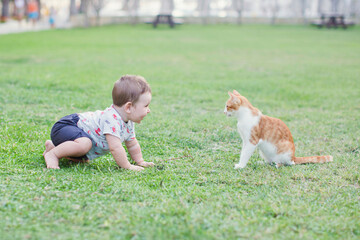 Baby child and ginger cat walking