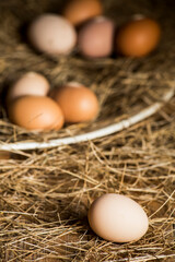 eggs from free-range hens. different colours.